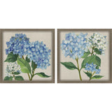 Paragon Hydrangea Study S/2 Blue 22 X 22 X 2 Wall Art