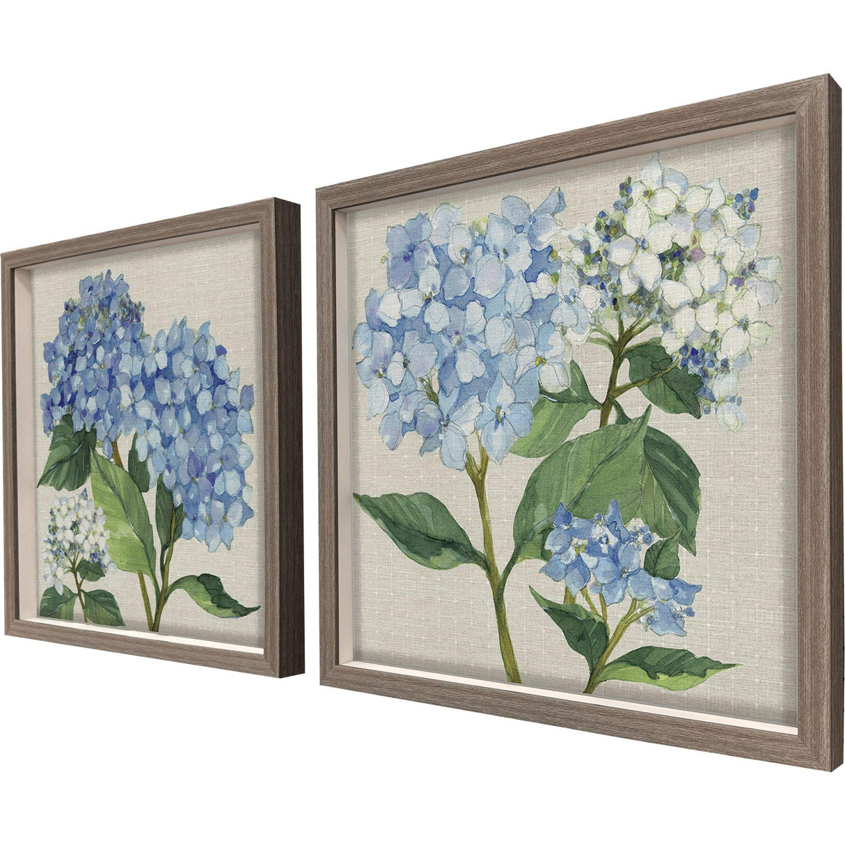 Paragon Hydrangea Study S/2 Blue 22 X 22 X 2 Wall Art