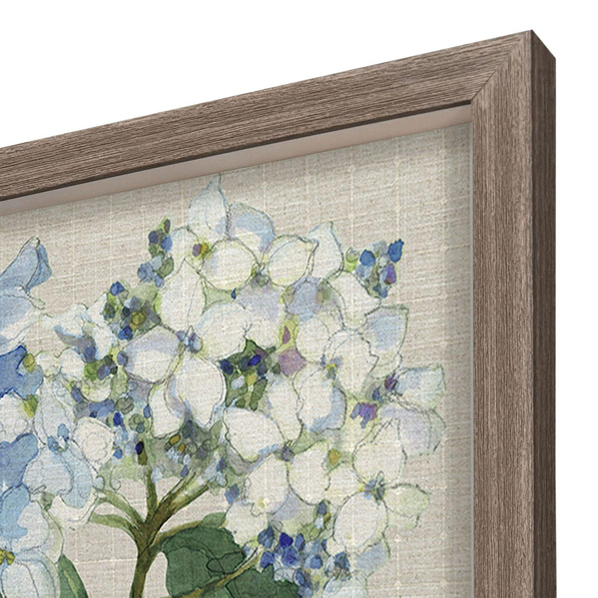 Paragon Hydrangea Study S/2 Blue 22 X 22 X 2 Wall Art