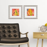 Paragon Colorful Lily I S/2 Pink 12 X 12 X 1 Wall Art