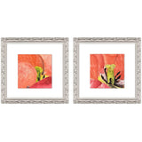 Paragon Colorful Lily II S/2 Pink 12 X 12 X 1 Wall Art