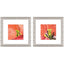 Paragon Colorful Lily II S/2 Pink 12 X 12 X 1 Wall Art