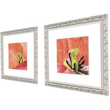 Paragon Colorful Lily II S/2 Pink 12 X 12 X 1 Wall Art