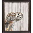 Paragon Looking! Gray 41 X 35 X 2 Wall Art