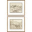 Paragon Farm in Provence S/2 Brown 25 X 29 X 2 Wall Art