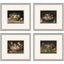 Paragon Still Life Flowers S/4 Multi 16 X 18 X 1 Wall Art