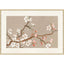 Paragon Pear Tree II Pink 25 X 37 X 2 Wall Art