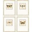 Paragon Golden Wings S/4 Brown 19 X 15 X 2 Wall Art