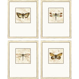 Paragon Golden Wings S/4 Brown 19 X 15 X 2 Wall Art