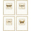Paragon Golden Wings S/4 Brown 19 X 15 X 2 Wall Art