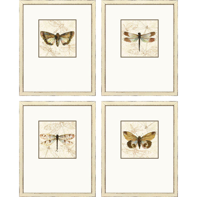 Paragon Golden Wings S/4 Brown 19 X 15 X 2 Wall Art