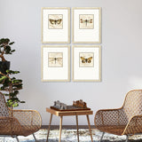 Paragon Golden Wings S/4 Brown 19 X 15 X 2 Wall Art