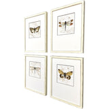 Paragon Golden Wings S/4 Brown 19 X 15 X 2 Wall Art