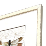 Paragon Golden Wings S/4 Brown 19 X 15 X 2 Wall Art