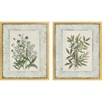 Paragon Herbs and Spice S/2 Green 30 X 24 X 2 Wall Art