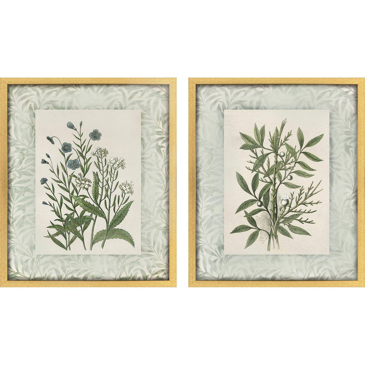 Paragon Herbs and Spice S/2 Green 30 X 24 X 2 Wall Art