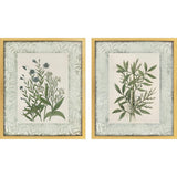 Paragon Herbs and Spice S/2 Green 30 X 24 X 2 Wall Art