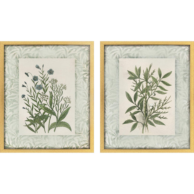 Paragon Herbs and Spice S/2 Green 30 X 24 X 2 Wall Art