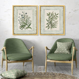 Paragon Herbs and Spice S/2 Green 30 X 24 X 2 Wall Art