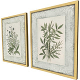 Paragon Herbs and Spice S/2 Green 30 X 24 X 2 Wall Art