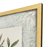 Paragon Herbs and Spice S/2 Green 30 X 24 X 2 Wall Art