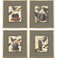 Paragon Cactus Collage S/4 Green 17 X 15 X 1 Wall Art