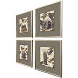 Paragon Cactus Collage S/4 Green 17 X 15 X 1 Wall Art