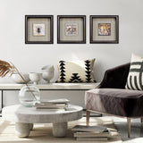 Paragon Vintage Collages I S/3 Black 14 X 14 X 3 Wall Art
