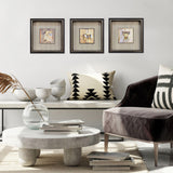 Paragon Vintage Collages II S/3 Black 14 X 14 X 3 Wall Art