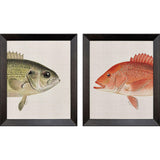 Paragon Green/Red Fish S/2 Multi 34 X 28 X 3 Wall Art