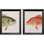 Paragon Green/Red Fish S/2 Multi 34 X 28 X 3 Wall Art