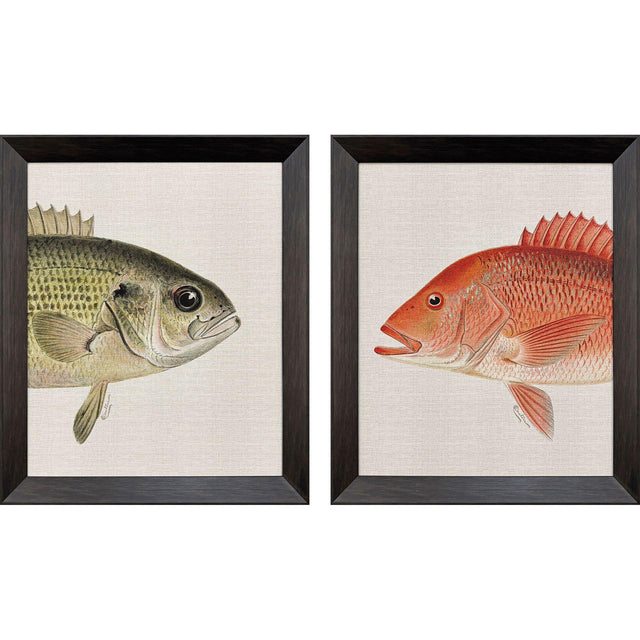 Paragon Green/Red Fish S/2 Multi 34 X 28 X 3 Wall Art