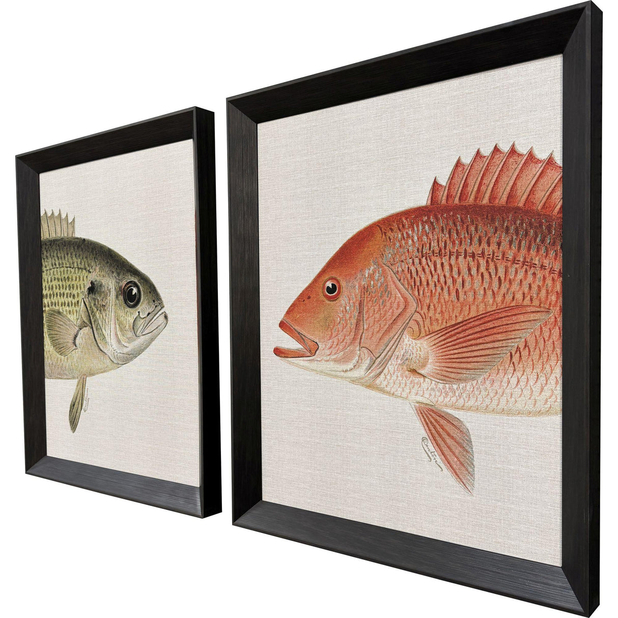 Paragon Green/Red Fish S/2 Multi 34 X 28 X 3 Wall Art