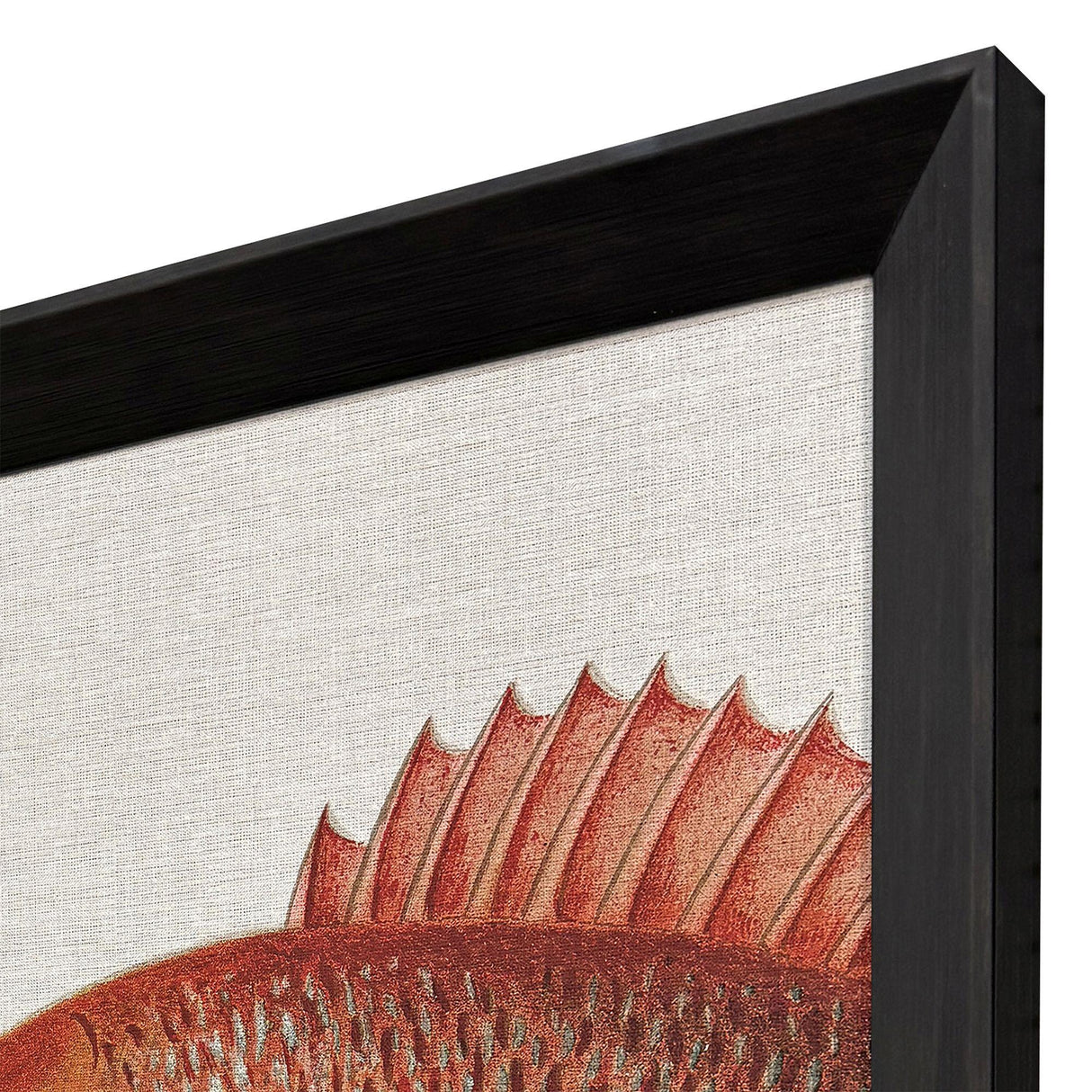 Paragon Green/Red Fish S/2 Multi 34 X 28 X 3 Wall Art