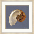 Paragon Ocean Treasure Blue 37 X 37 X 2 Wall Art