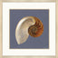 Paragon Ocean Treasure Blue 37 X 37 X 2 Wall Art