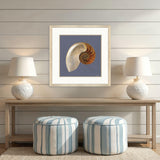 Paragon Ocean Treasure Blue 37 X 37 X 2 Wall Art