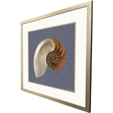 Paragon Ocean Treasure Blue 37 X 37 X 2 Wall Art