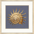 Paragon Coastal Delight Blue 37 X 37 X 2 Wall Art