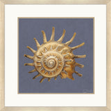 Paragon Coastal Delight Blue 37 X 37 X 2 Wall Art