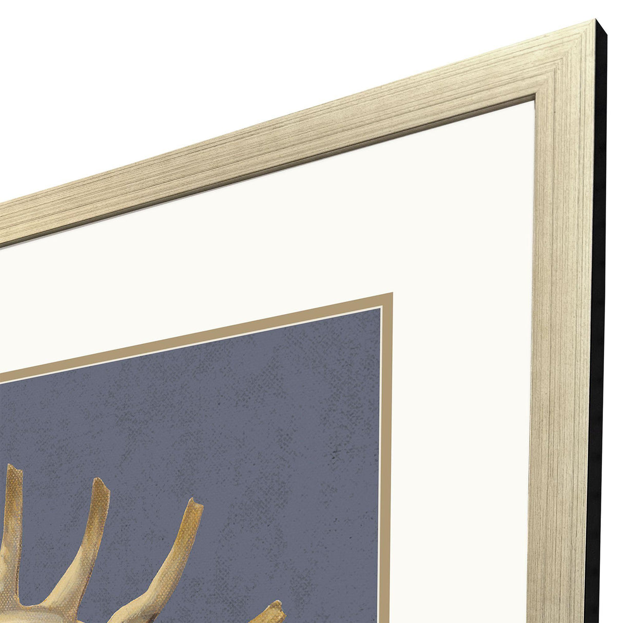 Paragon Coastal Delight Blue 37 X 37 X 2 Wall Art