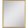 Paragon #547 22 x 28 Beveled Metallic 30 X 24 X 2 Wall Mirror