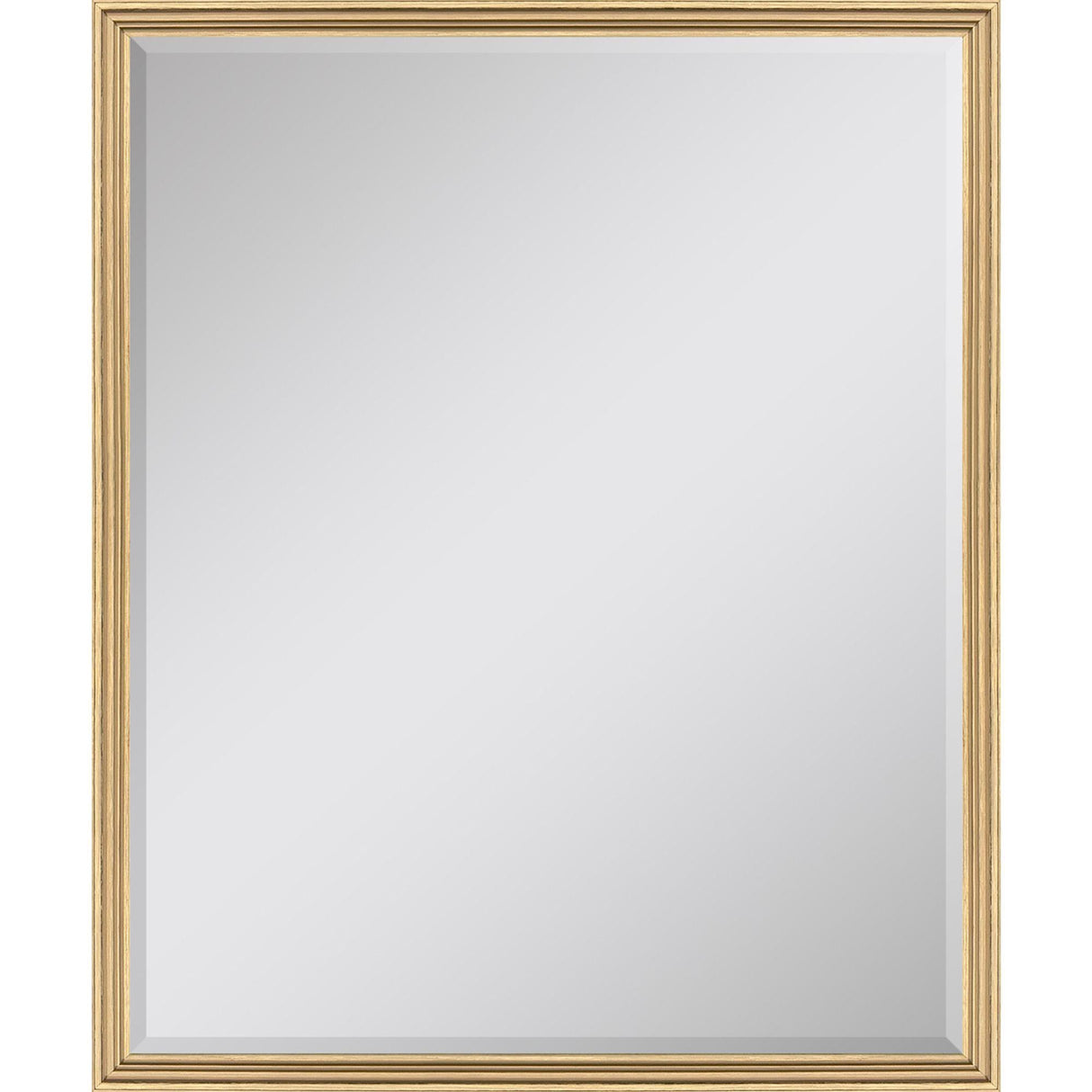 Paragon #547 22 x 28 Beveled Metallic 30 X 24 X 2 Wall Mirror