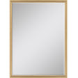 Paragon #547 24 x 36 Beveled Metallic 38 X 26 X 2 Wall Mirror