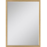 Paragon #547 24 x 36 Beveled Metallic 38 X 26 X 2 Wall Mirror
