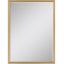 Paragon #547 24 x 36 Beveled Metallic 38 X 26 X 2 Wall Mirror
