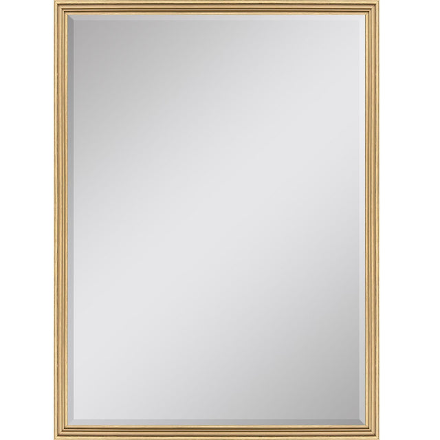 Paragon #547 24 x 36 Beveled Metallic 38 X 26 X 2 Wall Mirror