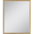 Paragon #547 30 x 40 Beveled Metallic 42 X 32 X 2 Wall Mirror