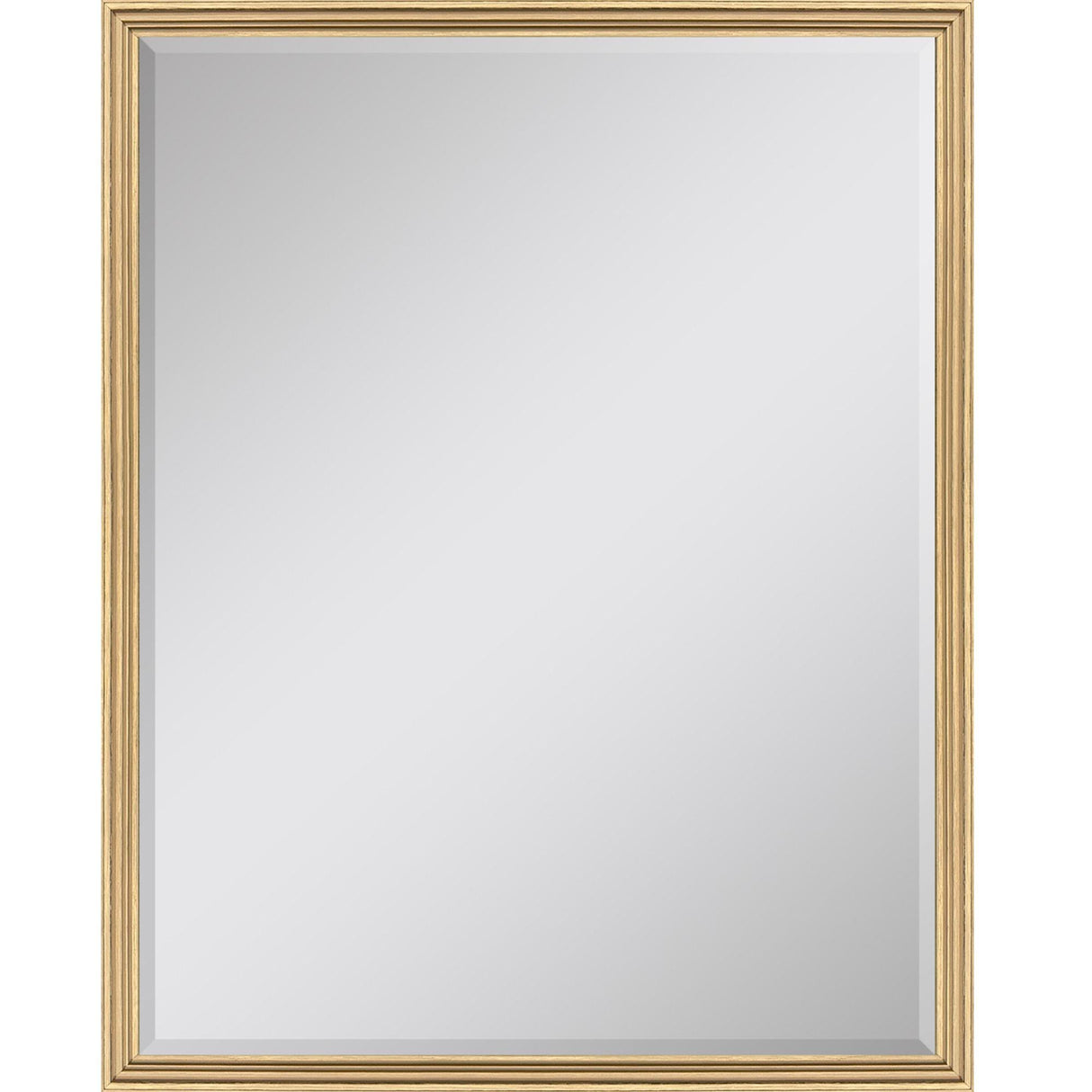 Paragon #547 36 x 48 Beveled Metallic 50 X 38 X 2 Wall Mirror
