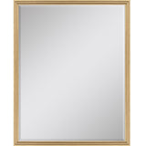 Paragon #547 36 x 48 Beveled Metallic 50 X 38 X 2 Wall Mirror
